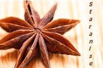 Chakra Phool (Star anise), Star anise exporters in India, Indian Star